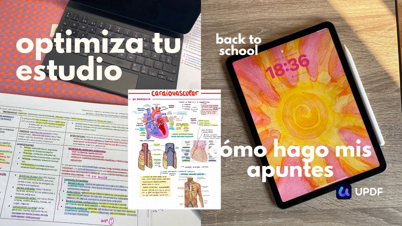 ipad para estudiantes 🎒cómo hacer apuntes | UPDF