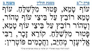 מסכת חולין פרק י"ב משנה ב