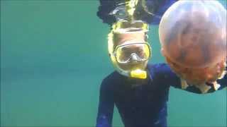 preview picture of video 'snorkling with jellyfish in togean islands as100v'