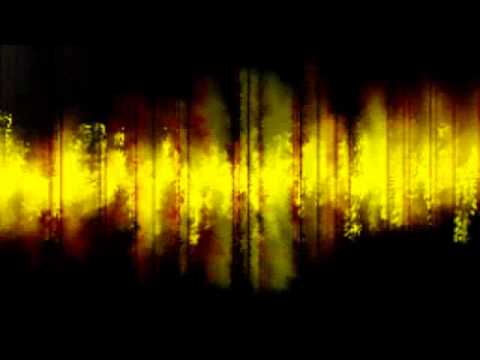 MKB - Génotype du Messagero Killer Boy