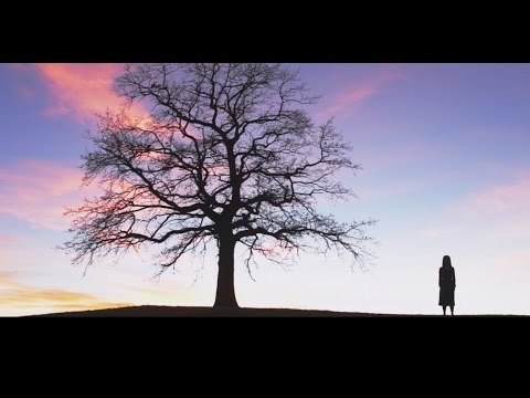 Gudrun Mittermeier - Mitternach - Der Kurzfilm