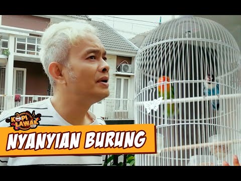 kopi-lawak-nyanyian-burung