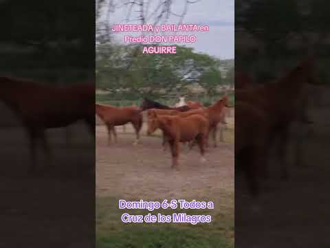Domingo 6-S Gran JINETEADA y BAILANTA en Cruz de los Milagros inicia 9Hs Invita Beto Quiróz