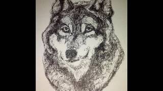 Training Wolves - The Bluebird's Poker Face