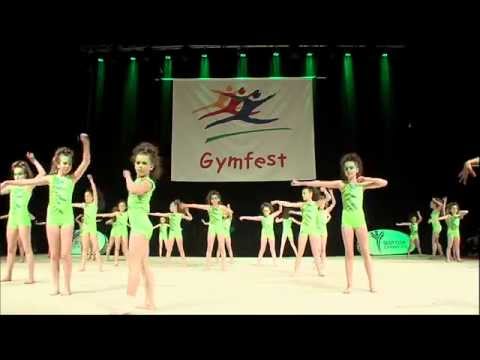 Gymfest 2015 Newtown GC