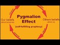 The Pygmalion Effect and Performance