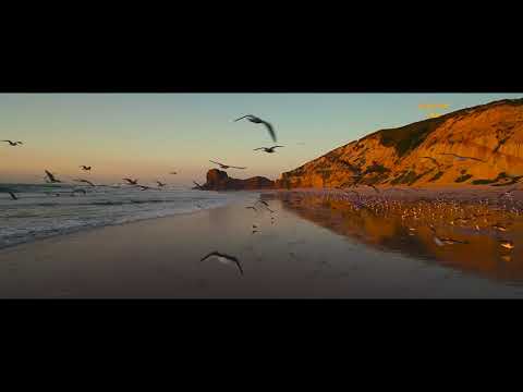 '28° à l'ombre' by Jean François Maurice with English subtitles