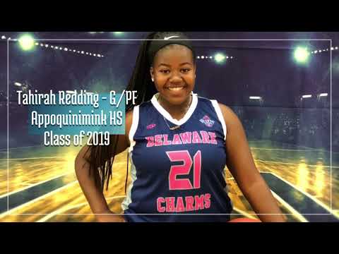 Delaware Charms - 17U