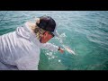 Big Captain Small Fish Yellowtail Rally And Catching Lemon Sharks TFG S4E4