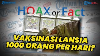 Beredar Kabar Hoax Vaksinasi Lansia 1000 Orang per Hari dan Cukup Membawa KTP Juga, Begini Faktanya