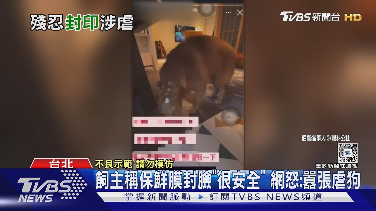 涉虐?狗遭保鮮膜捆臉「掙扎」 女竟稱「很可愛」
