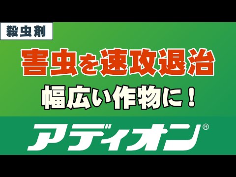リトリア・アデライデンシスについて詳しく解説