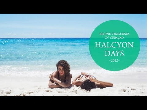 We Are Handsome - The Making Of Halcyon Days, 2015
