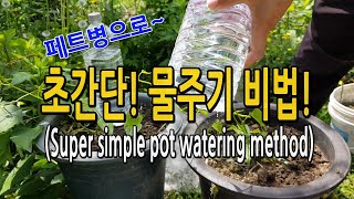 초간단 획기적인 화분 물주기 방법! 점적관수 (Super simple groundbreaking pot wa…