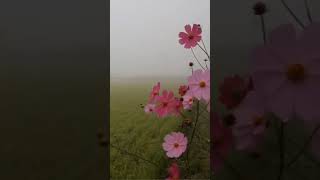 صورة دع الناس تقول ما تقول وأصلح بينك وبين الله | الشيخ محمد بن رمزان الهاجري حفظه الله