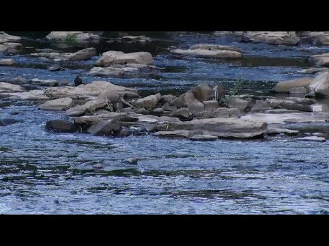 Período de seca deixa Rio Piracicaba com baixa vazão