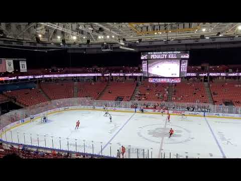 Greenville Swamp Rabbits vs Worcester Railers #hockey #swamprabbits #echl