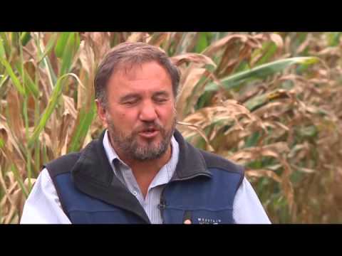 NewsLink Indiana October 28, 2014