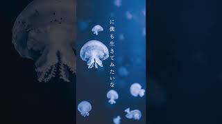 - アン ドゥ トロワで 星のまにまに #shorts #初音ミク #ボカロp #オリジナル #おすすめ #ジェリーフィッシュ