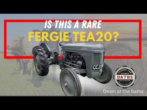 Thumbnail for Ferguson TEA20 -HOW RARE IS THIS TRACTOR ?| Down at the barns #te20 by Standard Motor Company