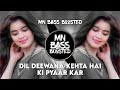 Dil Deewana Kehta Hai Bass Boosted Udit Narayan Hits Arshad Warsi Best Old Hind Love Songs 2022