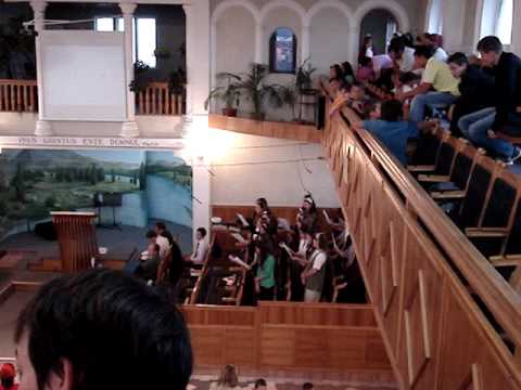 Iata-ma (Majesty) - Betel Medias