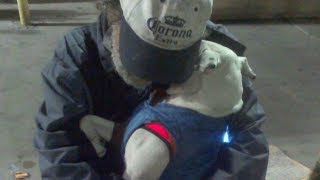 Before This Terminally Ill Homeless Man Could Say Goodbye To His Dog, He Had Just One Last Wish