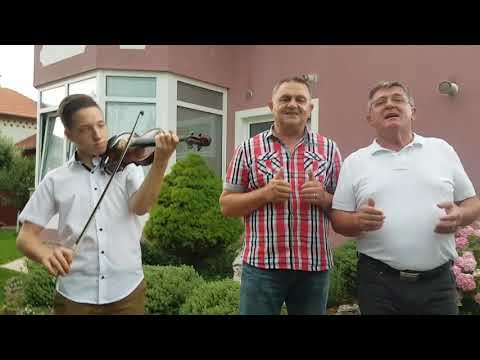 STUDENA JE ROSA DAJAK & MAJO