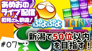 #07【ライブ配信】あめおの金曜だけど練習がてらテトリスで新潟50位を目指す【ぷよテト】