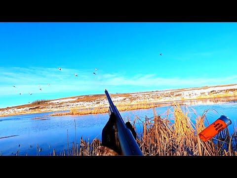 Duck Hunting Run &amp; Gun | First Snow