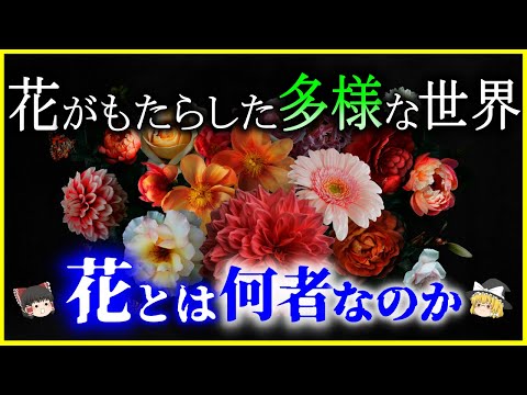 インドマラヤ生態圏: 学名別の種子植物 (C)について詳しく解説