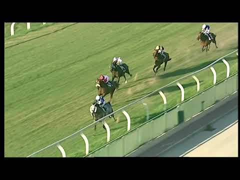 Napoli Galoppo 07/08/2021 - 2ª corsa