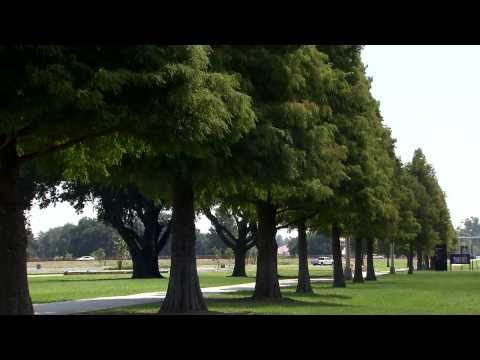 download lagu mp3 mp4 Landscaping In Louisiana, download lagu Landscaping In Louisiana gratis, unduh video klip Landscaping In Louisiana