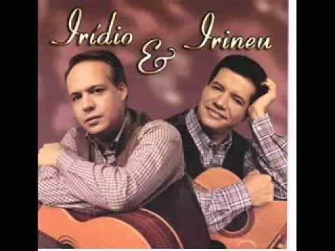 iridio e irineu cachorro amigo