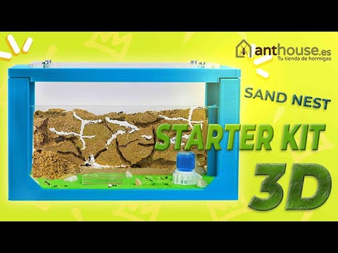 Starter kit 3D NEW Antfarm.