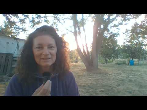 Dimenziókaput találtam - vlog 9. rész