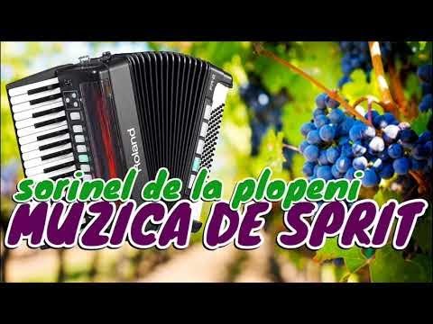 Muzica De Petrecere 2019 Sarbe Si Hore Colaj Super Program 2019 Mega