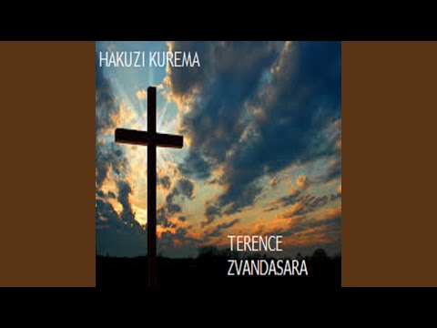 Ishe Ndinzwe Nokufara