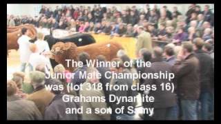 preview picture of video 'British Limousin Society Show February 12th  2010 at Borderway Mart, Carlisle'