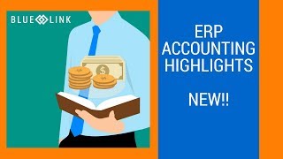 Blue Link ERP video