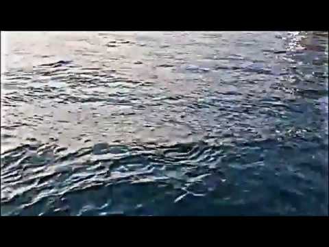 A Rose Among Thorns - Ennio Morricone & Dulce Pontes