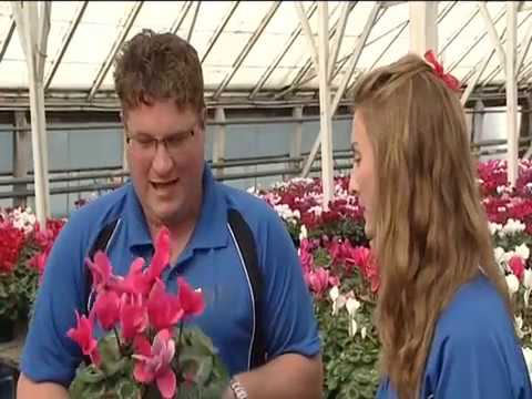 Just the Job Series 5 Episode 2