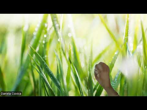 HIPNOZA REGRESIVA.RO355 Ana, constiinta colectica si vibratia interioara,control planetar