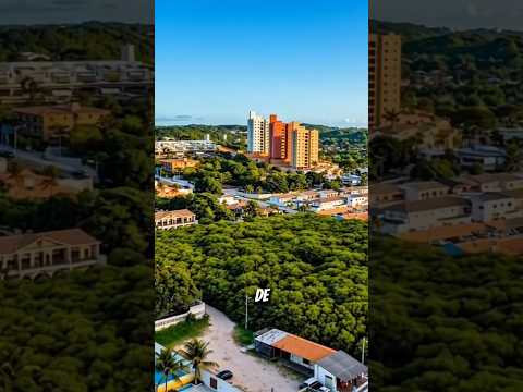 Parnamirim: A Cidade do Maior Cajueiro do Mundo! 🌳🪾