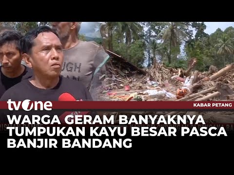 Gelondongan Kayu Besar Menumpuk di Lokasi Bencana, Ada Penebangan Besar-besaran? | Kabar Petang