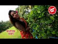 Super Shari Fashion Video Mithila Full HD 2020 Part 2