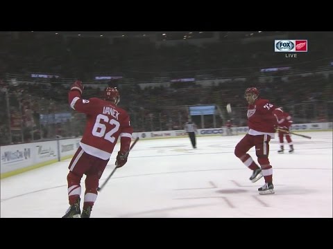 16/17 RS: Mtl @ Det Highlights - 1/16/17