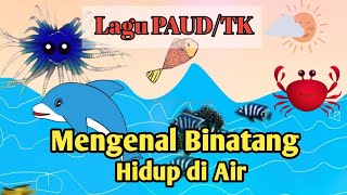 Download lagu Lagu Binatang Hidup di Air Tema Binatang||TK (PAUD)| BDR | Daring | Terbaru 2020 mp3
