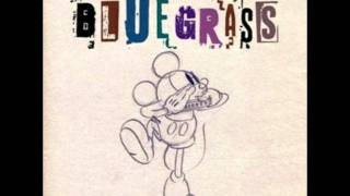 Disney Adventures in Blue Grass - Circle of Life