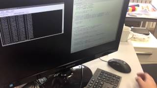 Hardware Software Co-Design Demo. BeagleBone Black